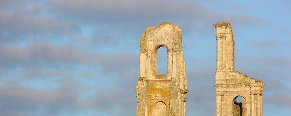 Ruines des tours de abbaye - Mont-Saint-Eloi / Samuel Dhote